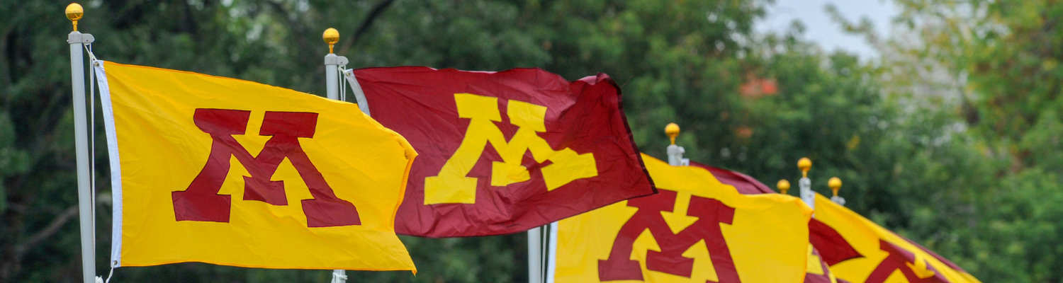 maroon and gold U of M flags wave in the breeze in front of a background of green from trees